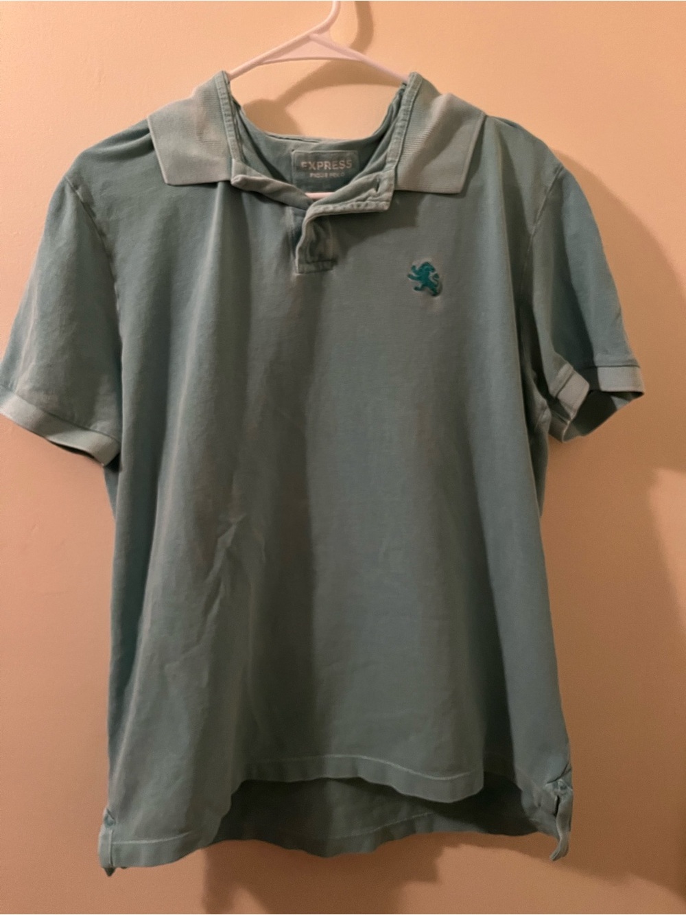 Express Men’s Polo Shirt - Seafoam Green
